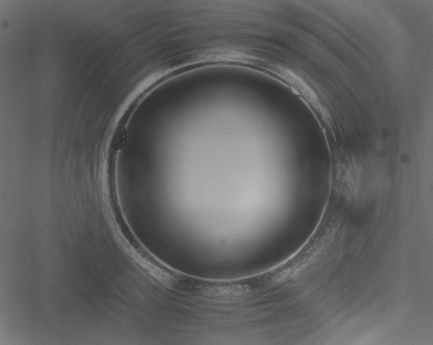 X0000051240947200506171107