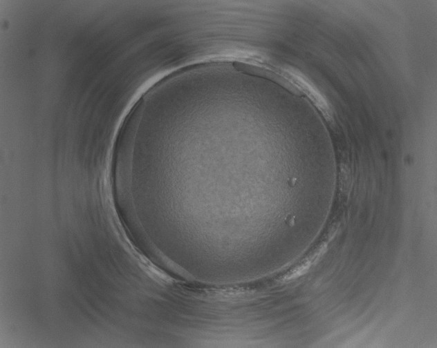 X0000051240948200506171107