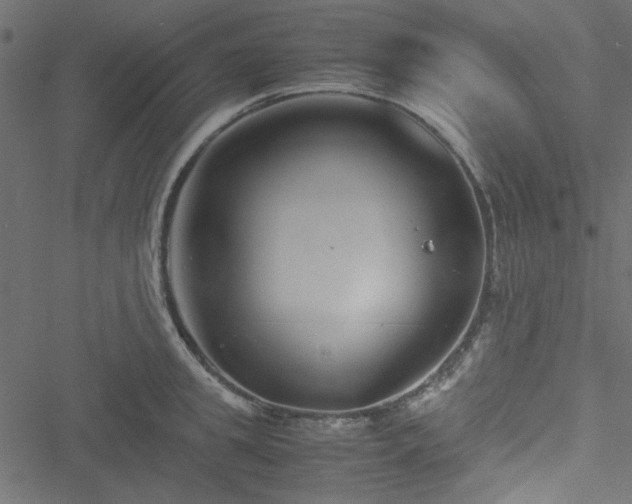 X0000051240949200506171107