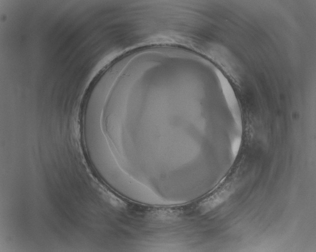 X0000051240950200506171107