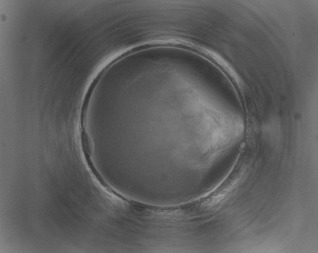 X0000051240951200506171107