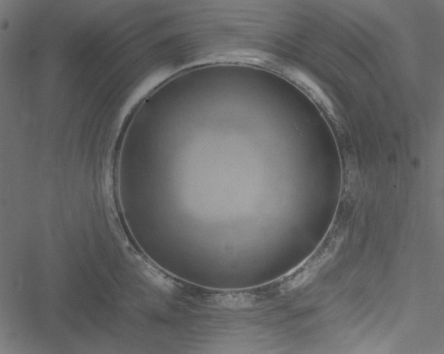 X0000051240952200506171107