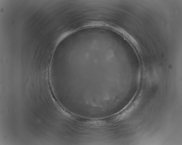 X0000051240953200506171107