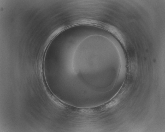 X0000051240954200506171107