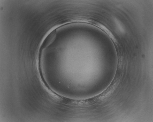 X0000051240955200506171107