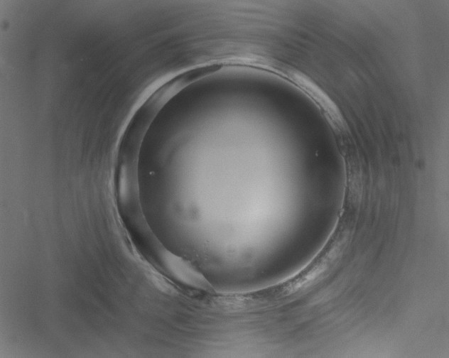 X0000051240956200506171107