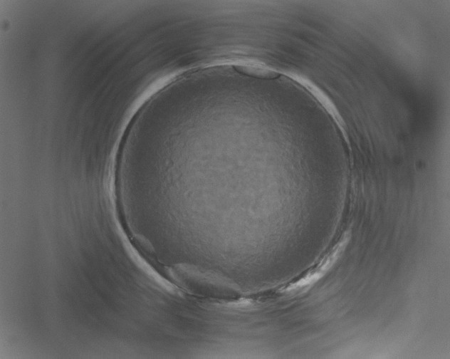 X0000051240957200506171107