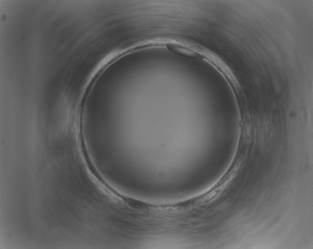 X0000051240958200506171107