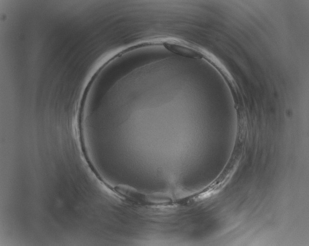 X0000051240959200506171107