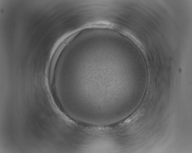 X0000051240960200506171107