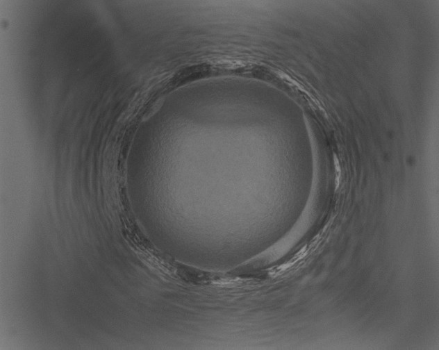 X0000051240961200506171106