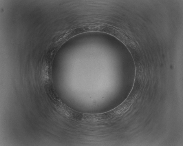 X0000051240962200506171106