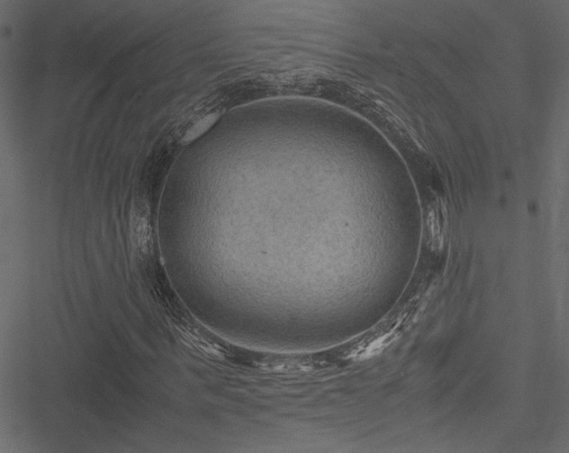 X0000051240963200506171106