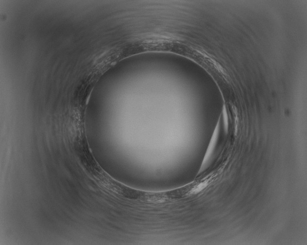 X0000051240964200506171106