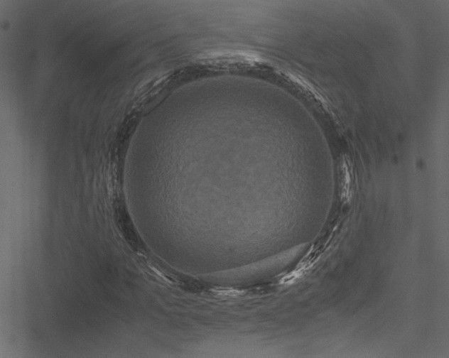 X0000051240965200506171106