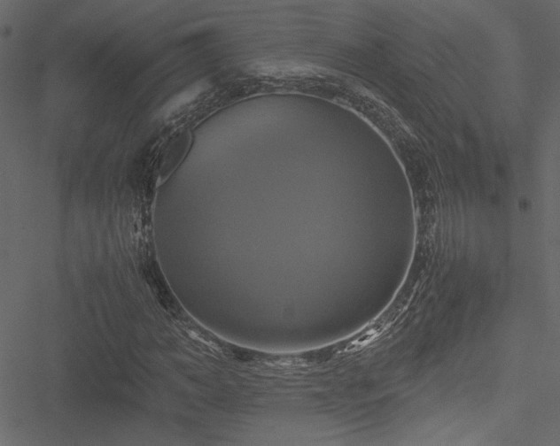 X0000051240966200506171106