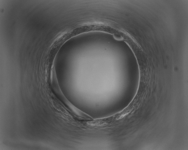 X0000051240967200506171106