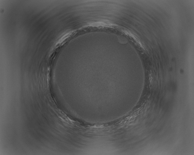 X0000051240968200506171106