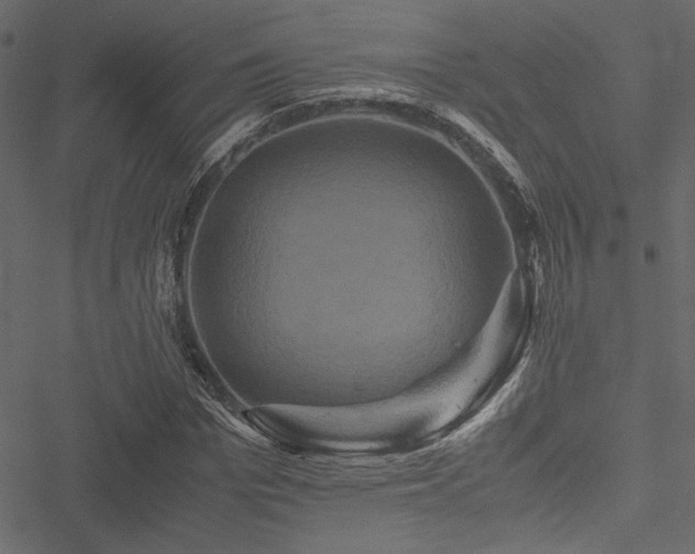 X0000051240969200506171106