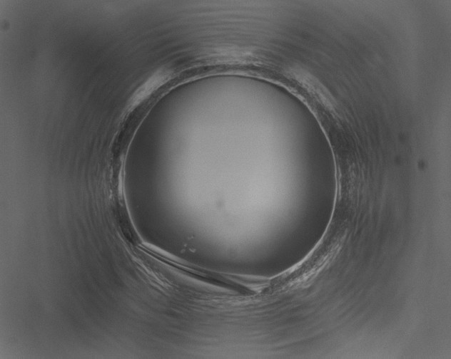 X0000051240970200506171106