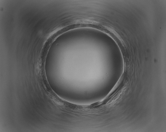 X0000051240971200506171106