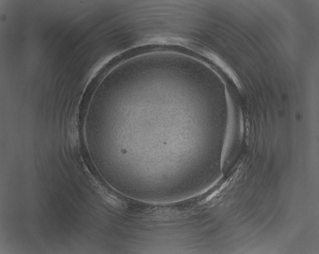 X0000051240972200506171106