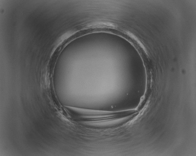 X0000051240973200506171106