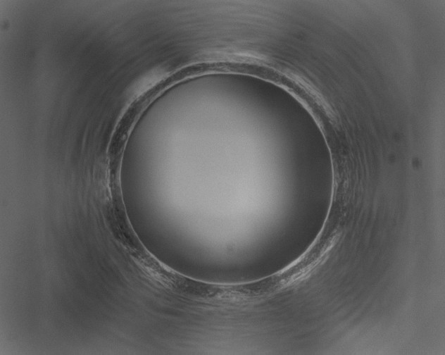 X0000051240974200506171106