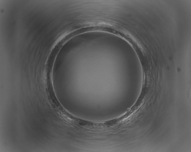 X0000051240975200506171106