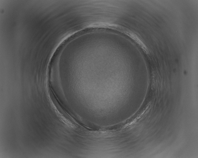 X0000051240976200506171106