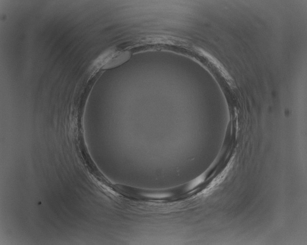 X0000051240977200506171106