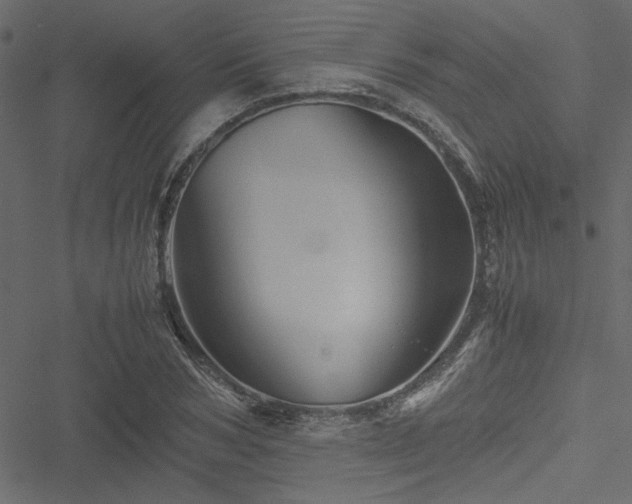 X0000051240978200506171106