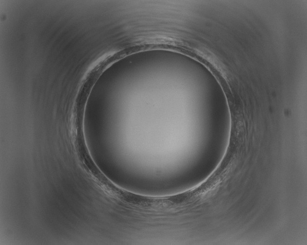 X0000051240979200506171106