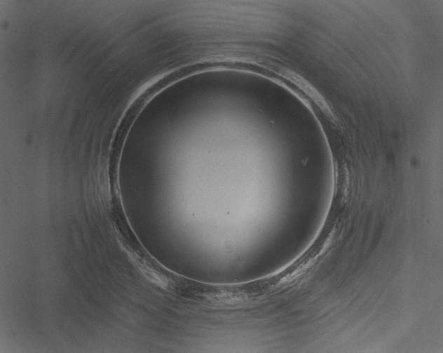 X0000051240980200506171106