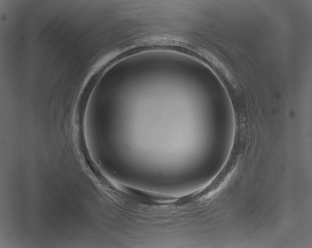 X0000051240981200506171106