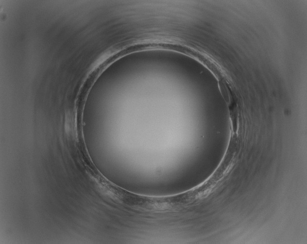 X0000051240982200506171106