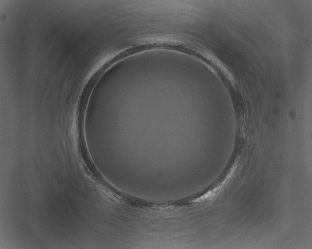 X0000051240983200506171106