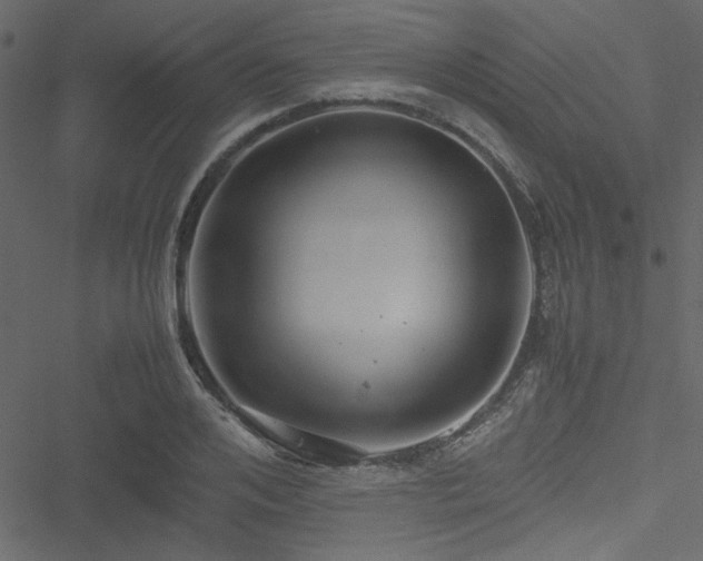 X0000051240984200506171106