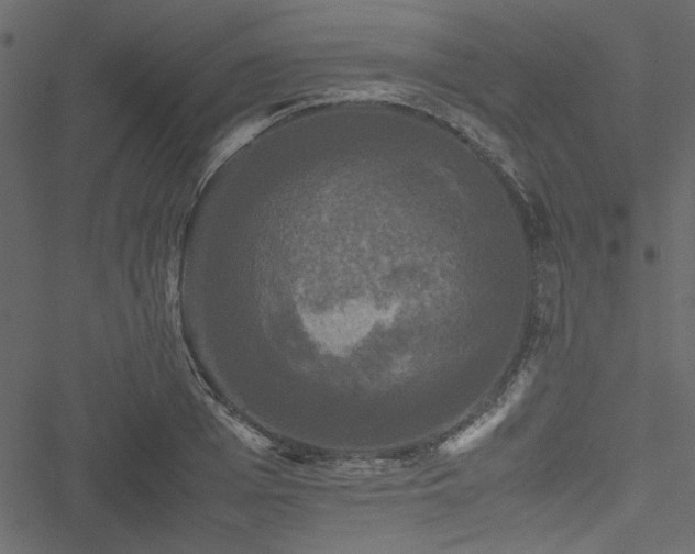 X0000051240985200506171106