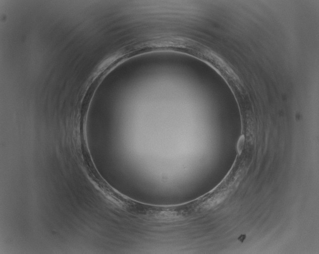 X0000051240986200506171106