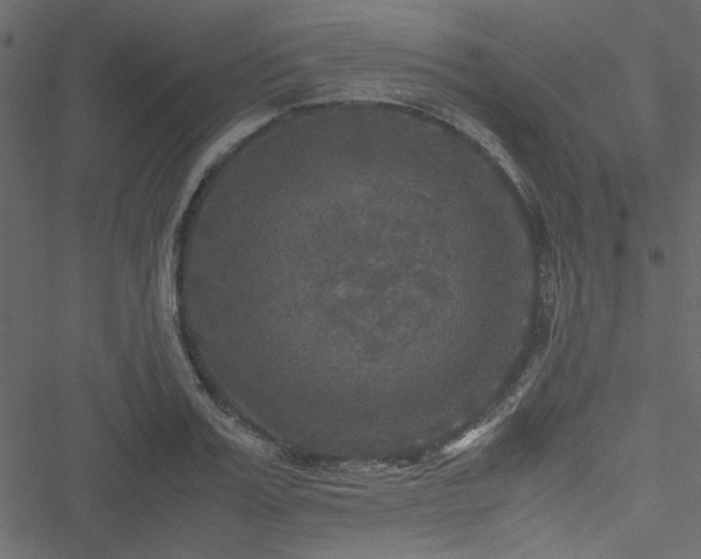 X0000051240987200506171106