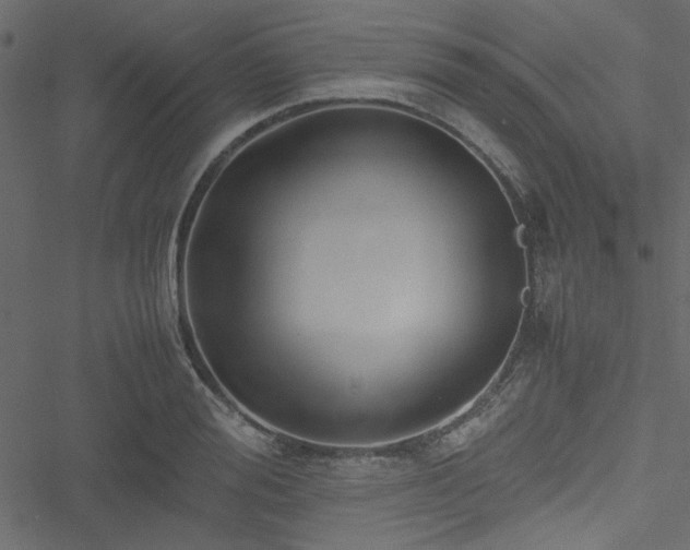 X0000051240988200506171106