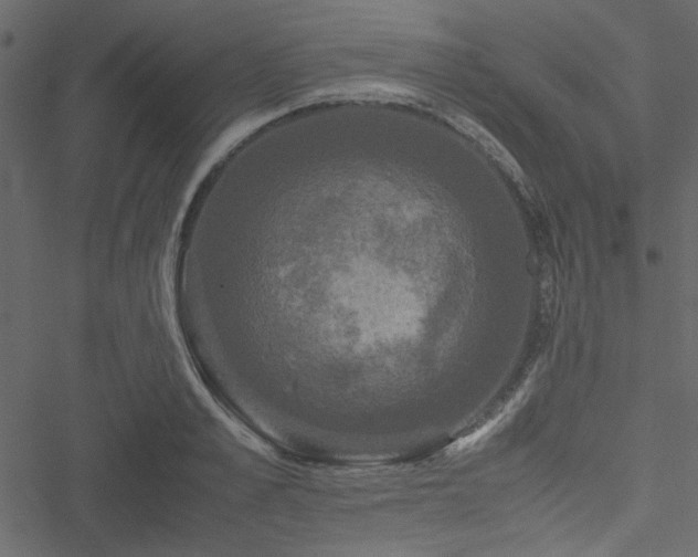 X0000051240989200506171106