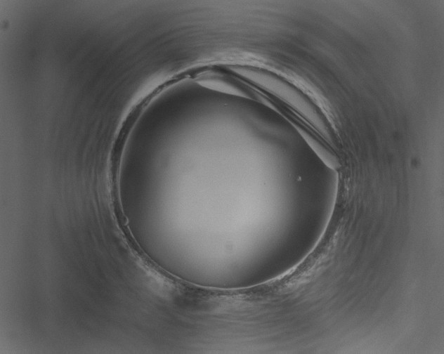 X0000051240990200506171106