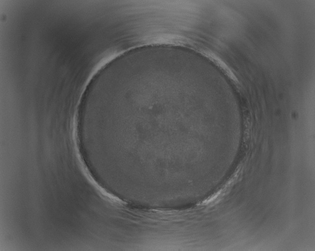 X0000051240991200506171106