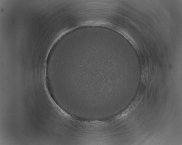 X0000051240992200506171106