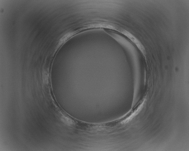 X0000051240993200506171106