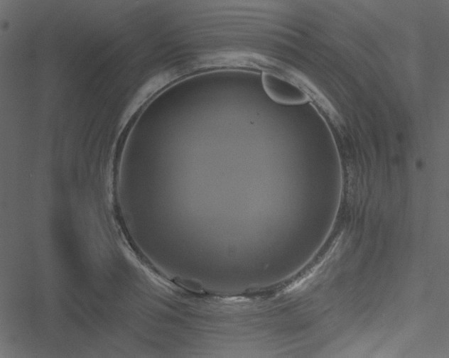 X0000051240994200506171106