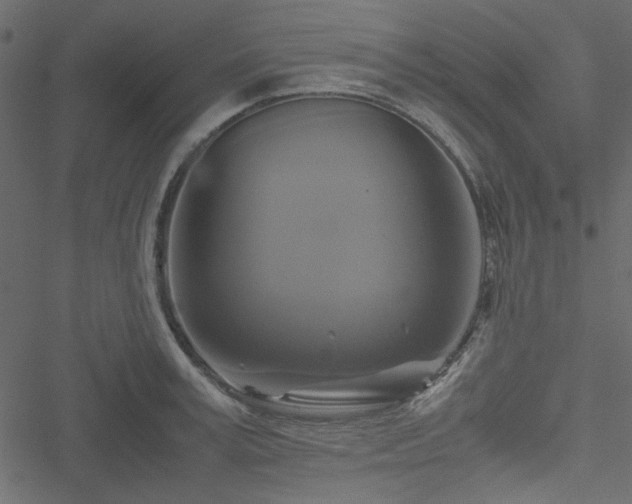 X0000051240995200506171105