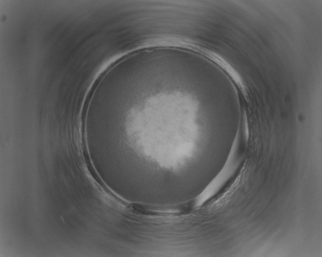 X0000051240996200506171105